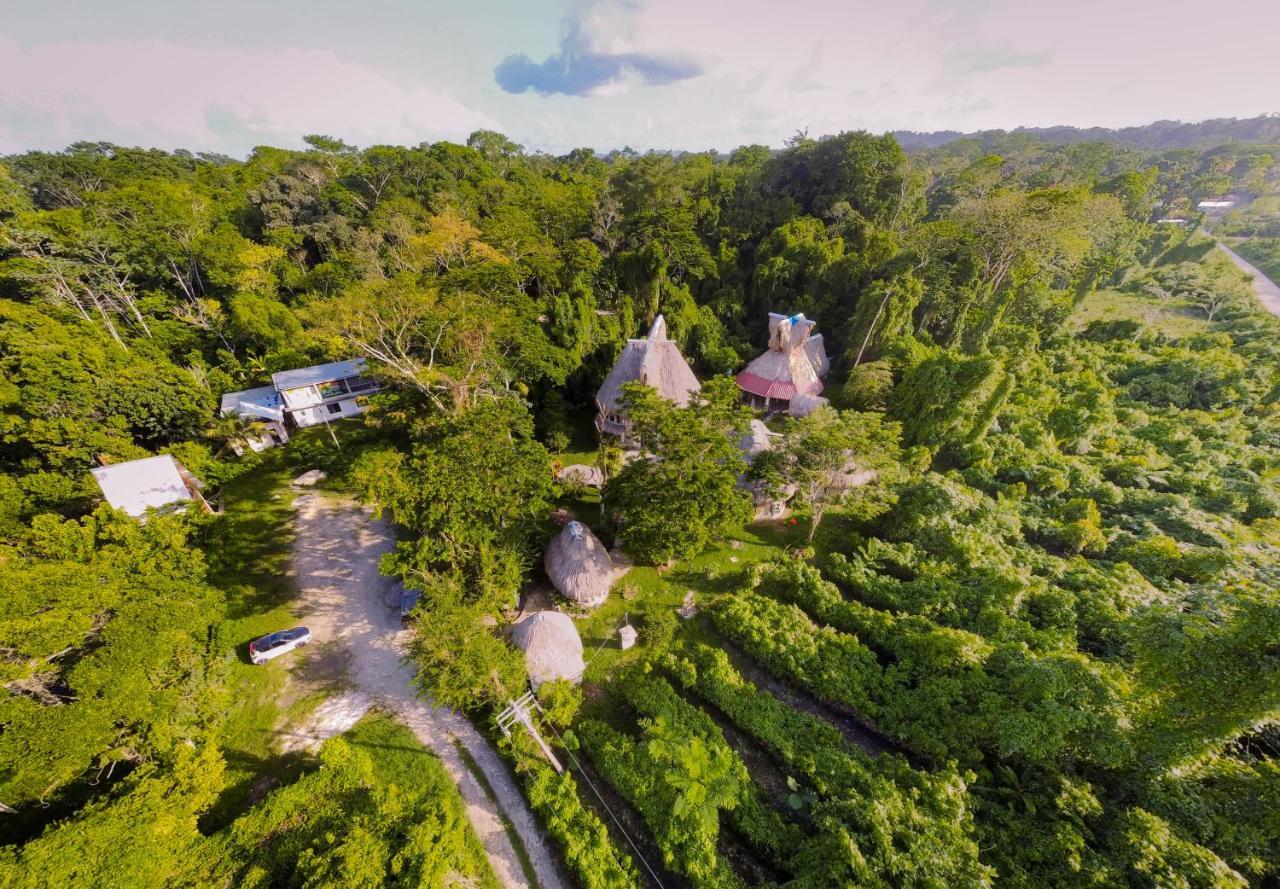 Eco Hotel Sak Nok Lacanja Bagian luar foto