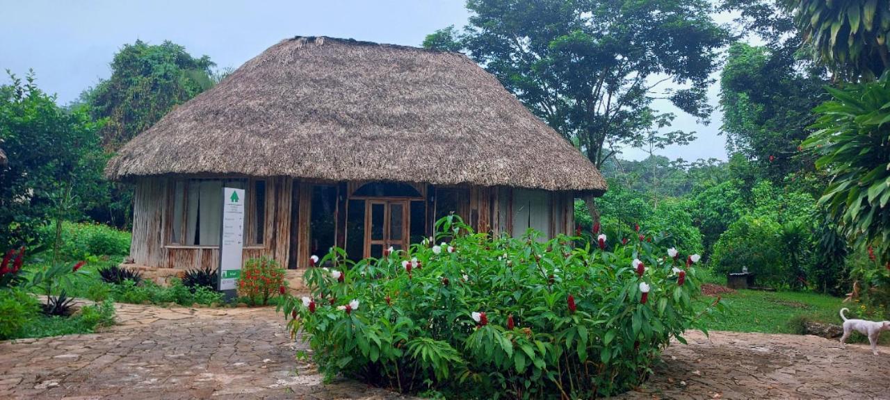 Eco Hotel Sak Nok Lacanja Bagian luar foto